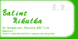 balint mikulka business card